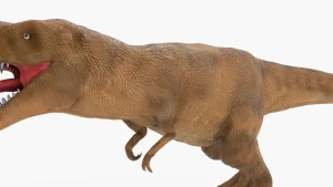 Tyrannosaurus Rex 3D Model