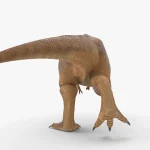 Realistic Tyrannosaurus Rex Rigged Low Poly(8)