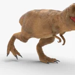 Realistic Tyrannosaurus Rex Rigged Low Poly(9)