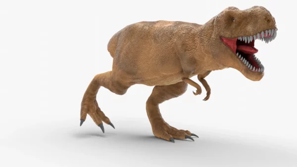 Low Poly Tyrannosaurus Rex 3D Model Rigged 3D Model Creature Guard 4