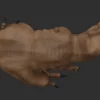 Realistic Tyrannosaurus Rex 3D Model Rigged Low Poly 3D Model Creature Guard 29