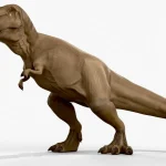 Realistic Tyrannosaurus Rex(1)