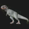Tyrannosaurus Rigged and Animated 3D Model 3D Model Creature Guard 52