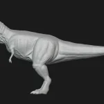 Realistic Tyrannosaurus Rex(28)