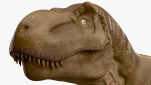 Tyrannosaurus Rex 3D Model