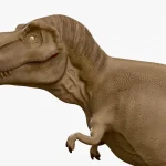 Realistic Tyrannosaurus Rex(4)