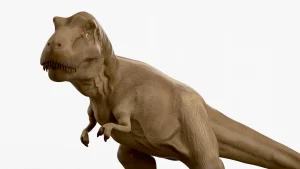 Tyrannosaurus Rex 3D Model