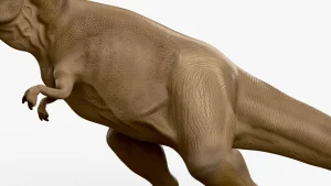 Tyrannosaurus Rex 3D Model