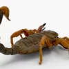 Realistic Scorpion Rigged 3D Model 3D Model Creature Guard 23