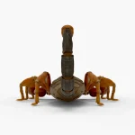 Scorpion 3d model(13)