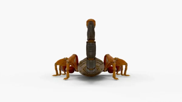 Realistic Scorpion Rigged 3D Model 3D Model Creature Guard 9