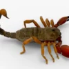 Realistic Scorpion Rigged 3D Model 3D Model Creature Guard 26