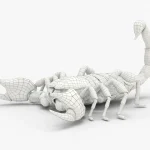 Scorpion 3d model(2)