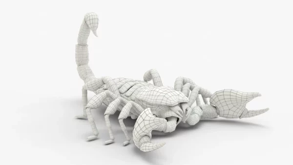 Realistic Scorpion Rigged 3D Model 3D Model Creature Guard 13