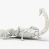 Realistic Scorpion Rigged 3D Model 3D Model Creature Guard 31