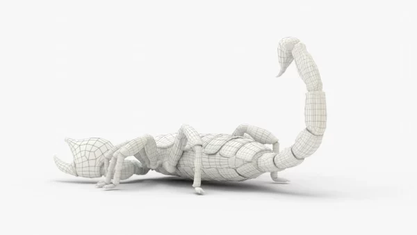 Realistic Scorpion Rigged 3D Model 3D Model Creature Guard 15