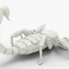 Realistic Scorpion Rigged 3D Model 3D Model Creature Guard 32