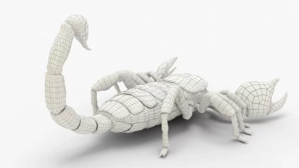 Realistic Scorpion Rigged 3D Model 3D Model Creature Guard 16