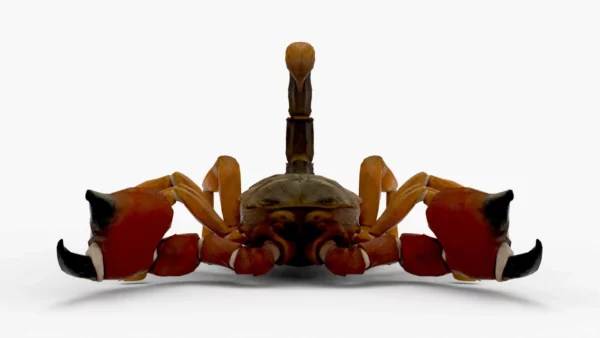Realistic Scorpion Rigged 3D Model 3D Model Creature Guard 5