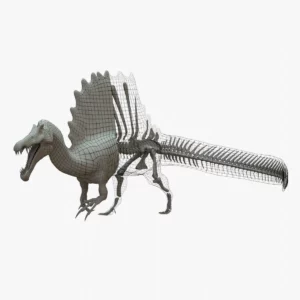 Spinosaurus 3D Model Rigged Basemesh Skeleton
