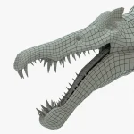 Spinosaurus Rigged Basemesh Skeleton(13)