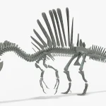 Spinosaurus Rigged Basemesh Skeleton(15)