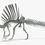Spinosaurus Rigged Basemesh Skeleton(16)
