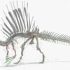 Spinosaurus skeleton 3D Model