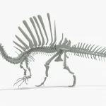 Spinosaurus Rigged Basemesh Skeleton(6)