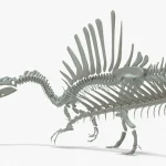 Spinosaurus Rigged Basemesh Skeleton(8)