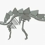Stegosaurus Rigged Basemesh Skeleton(15)