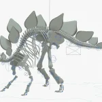 Stegosaurus Rigged Basemesh Skeleton(20)