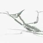 Stegosaurus Rigged Basemesh Skeleton(7)