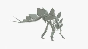 Stegosaurus Skeleton 3D Model