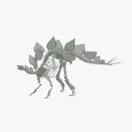 Stegosaurus Rigged Skeleton(1)