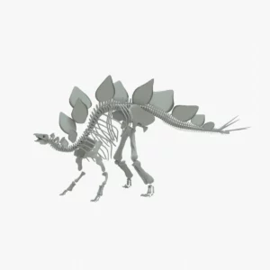 Stegosaurus Rigged Skeleton