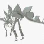 Stegosaurus Rigged Skeleton(10)