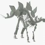 Stegosaurus Rigged Skeleton(12)