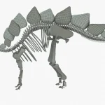 Stegosaurus Rigged Skeleton(15)