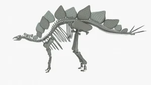 Stegosaurus Skeleton 3D Model