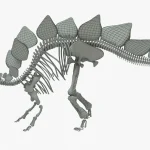 Stegosaurus Rigged Skeleton(16)