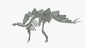 Stegosaurus Skeleton 3D Model