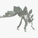 Stegosaurus Rigged Skeleton(5)