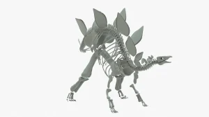 Stegosaurus Skeleton 3D Model