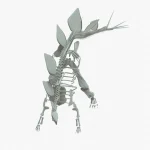 Stegosaurus Rigged Skeleton(7)