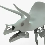 Triceratops Rigged Skeleton(1)