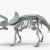Triceratops Rigged Skeleton 3D Model 3D Model Creature Guard 27