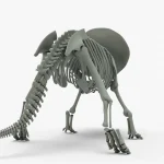 Triceratops Rigged Skeleton(12)