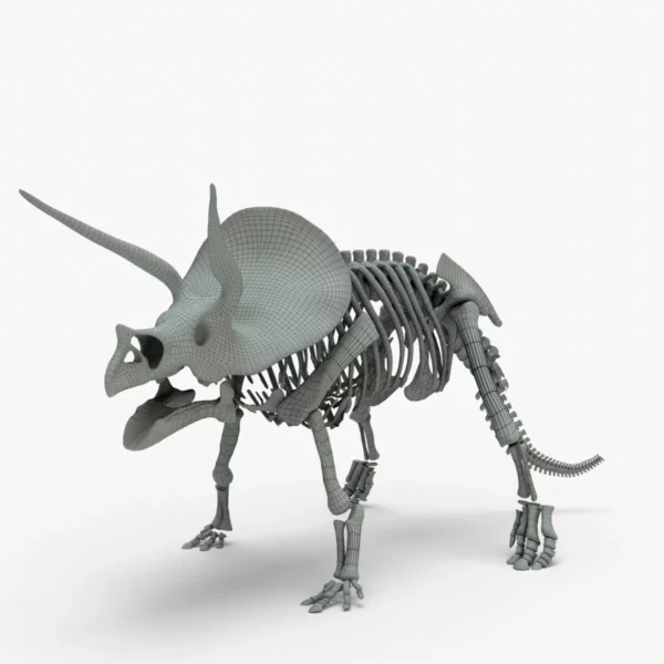 Triceratops Rigged Skeleton 3D Model 3D Model Creature Guard 22