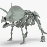 Triceratops Rigged Skeleton(15)